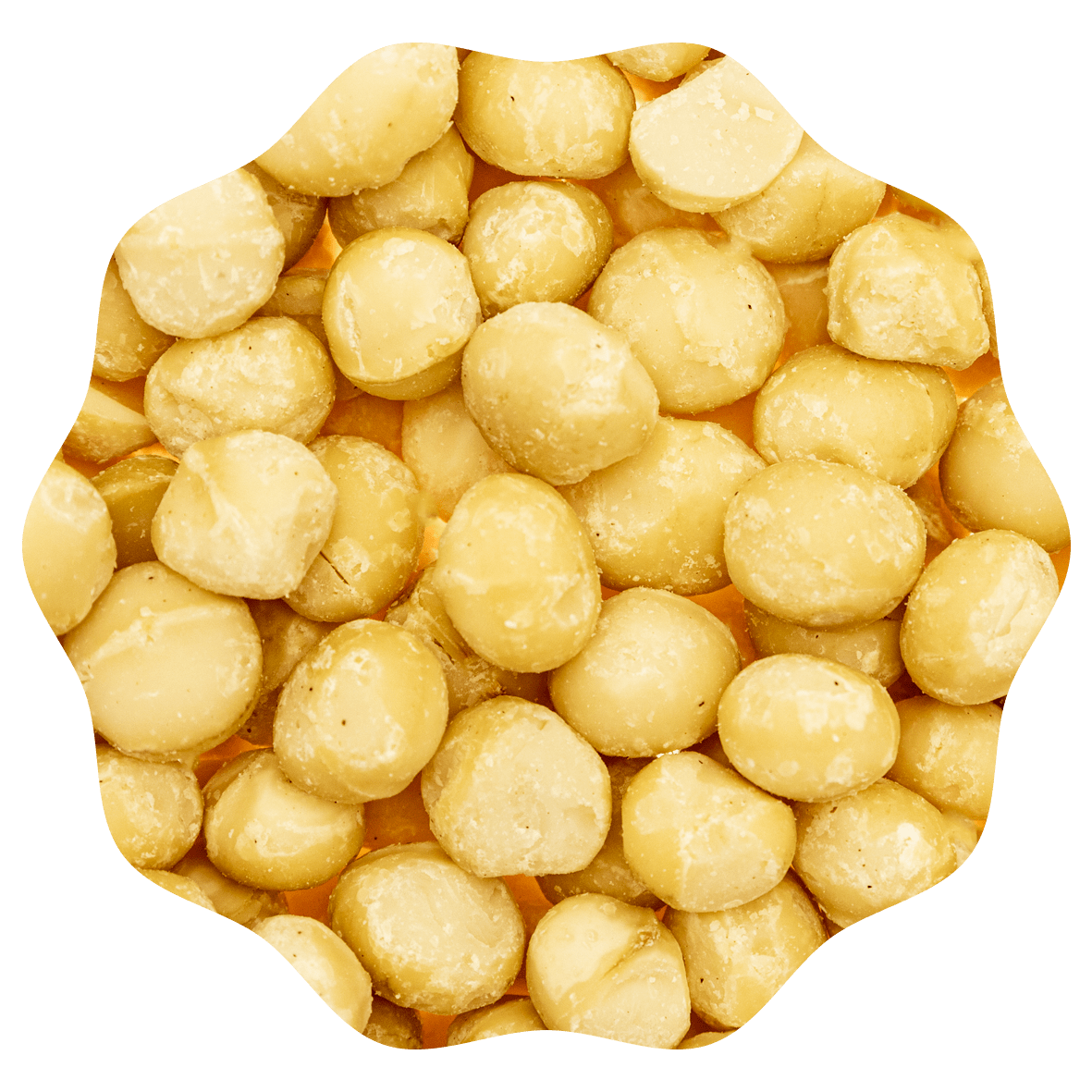 RANOBO MACADAMIA