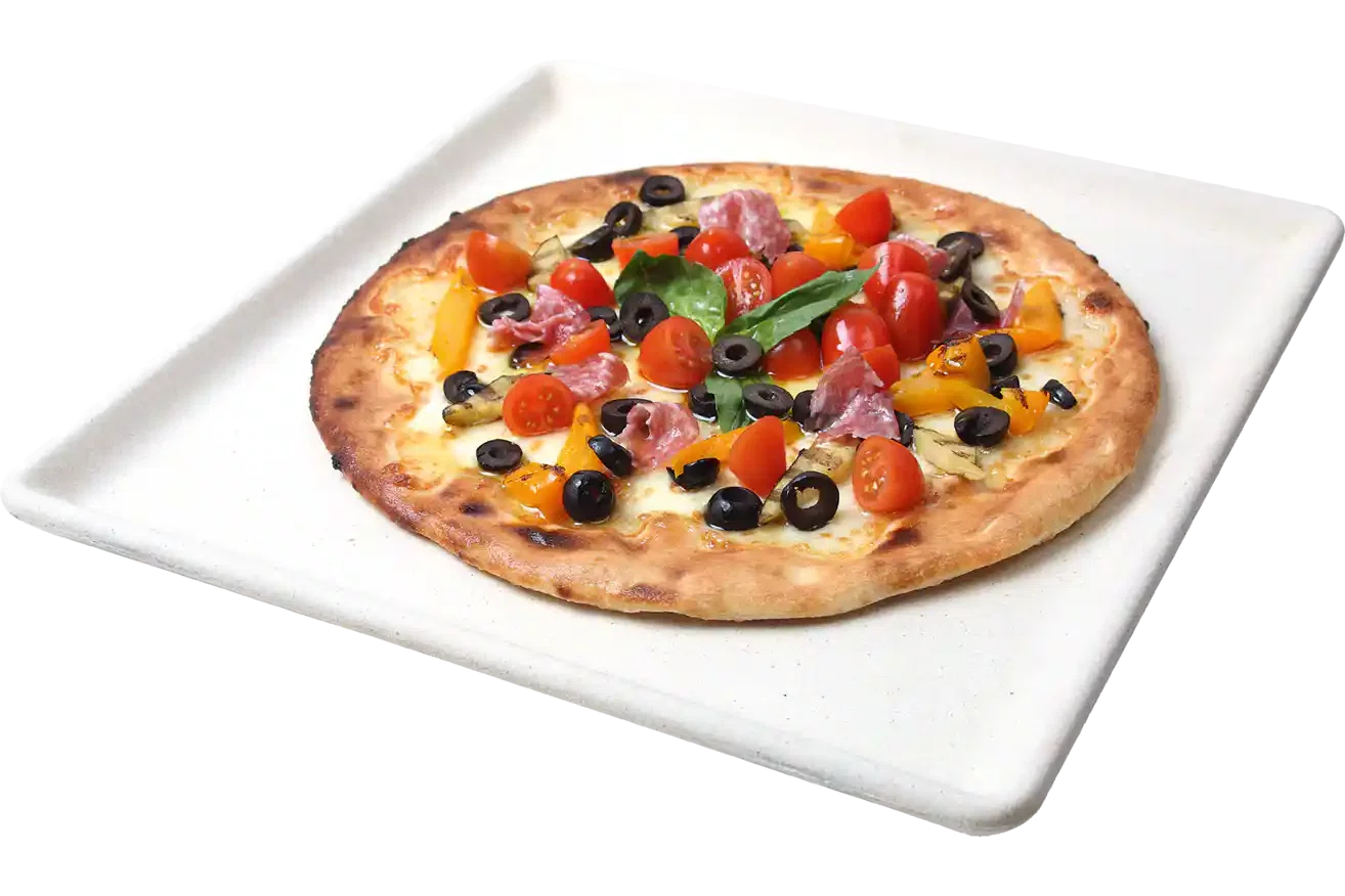 FOND DE PIZZA 