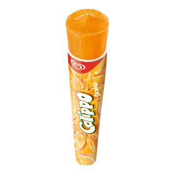 OLA CALIPPO SINAAS