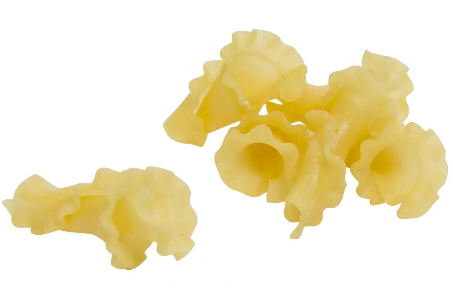 GIROLLE 