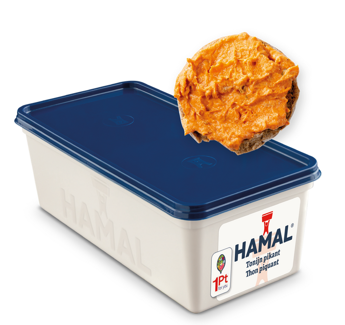 HAMAL SALADE DE THON PIQUANT