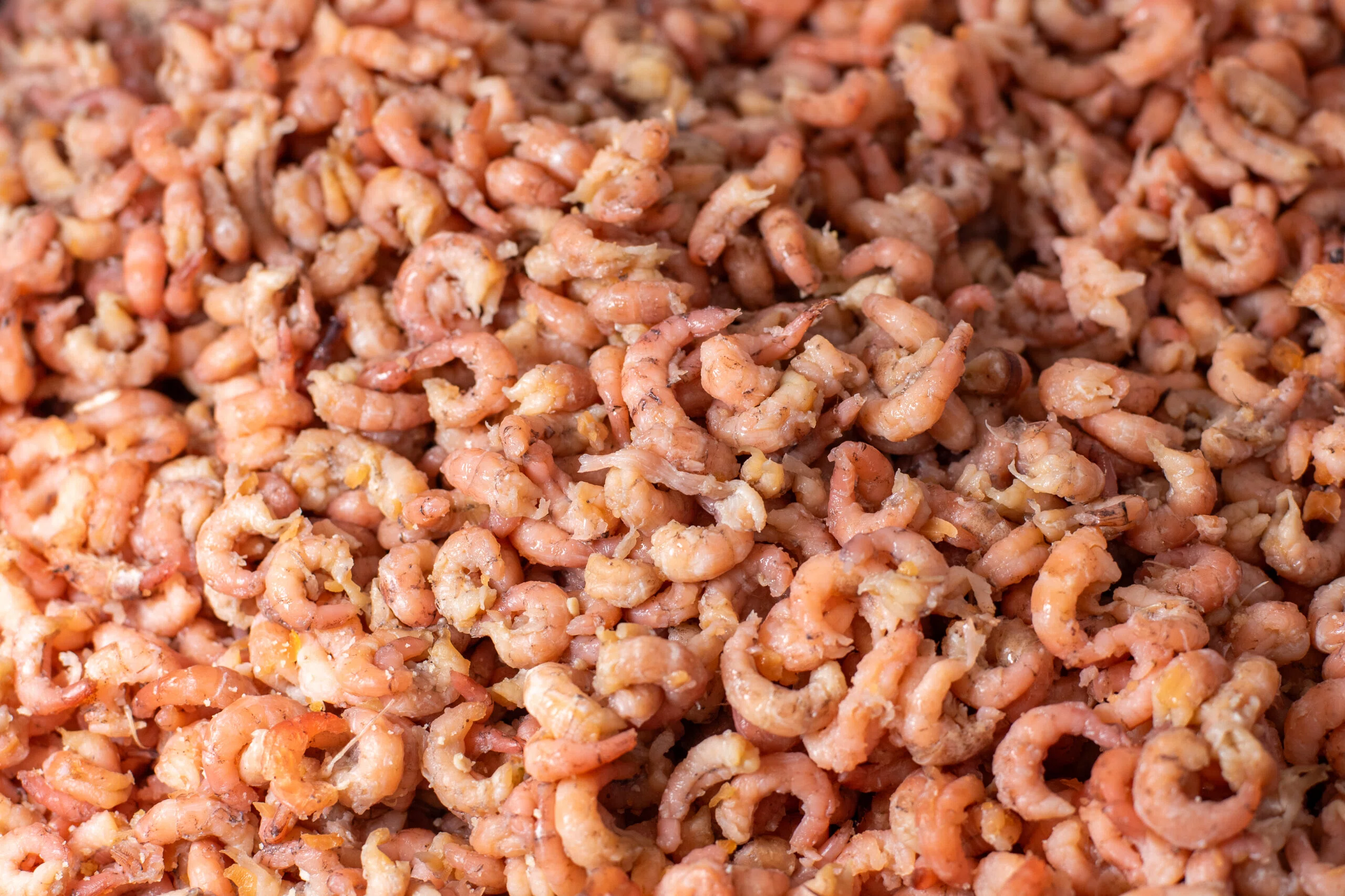 GRIJZE GARNAAL diepvries 1 kg