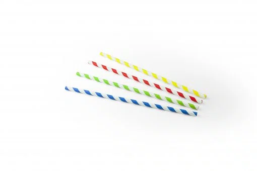 Paille en papier rayée 23cm