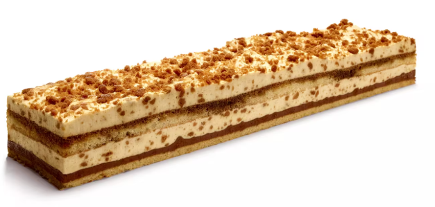 SPECULOOS BAVAROIS B298