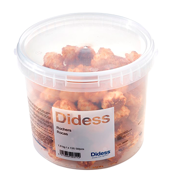 DIDESS ROCHERS