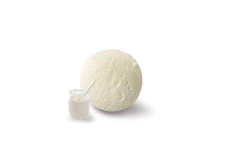 CREME GLACEE YAOURT NATURE